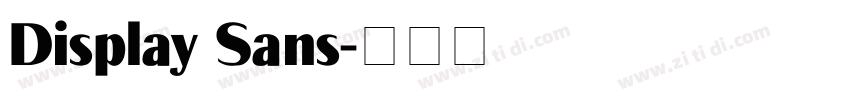 Display Sans字体转换 Display Sans字体转换